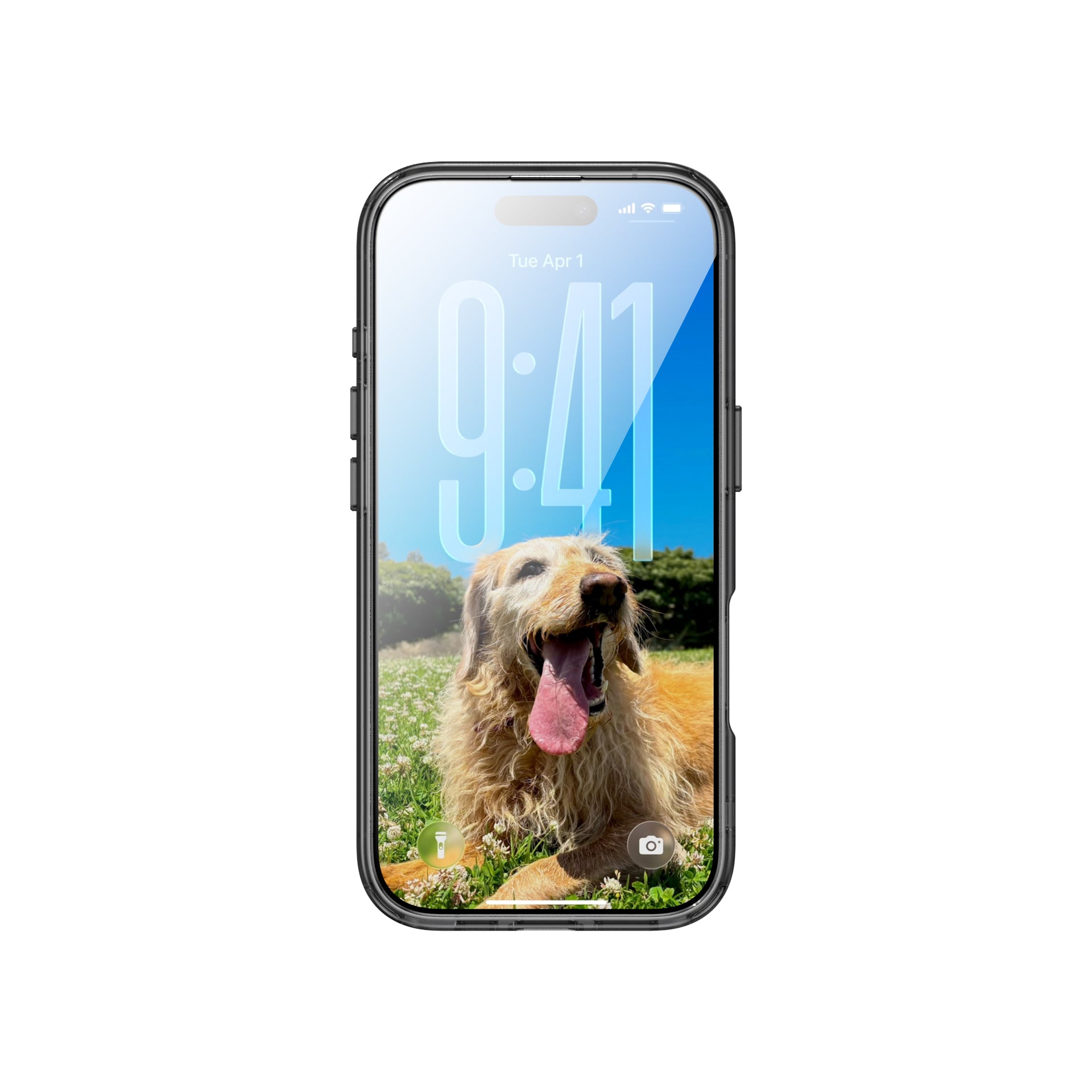 Back Cover Trend MagSafe Black iPhone 17