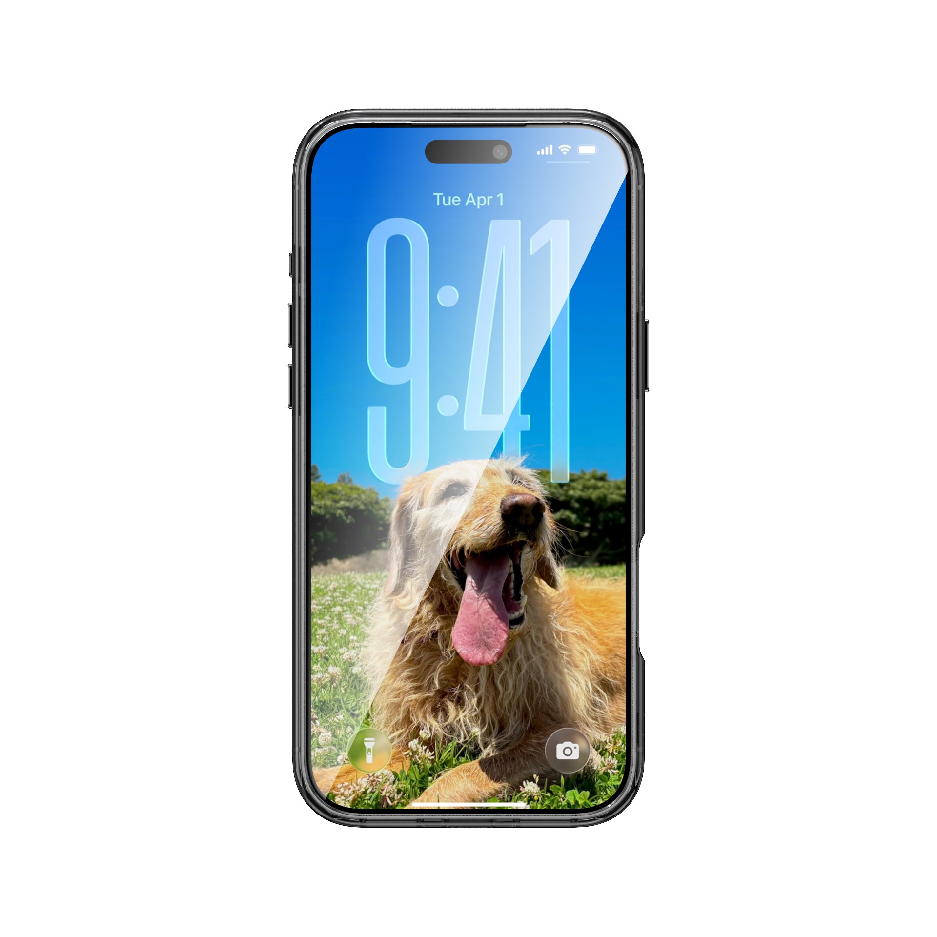 Back Cover Trend MagSafe Black iPhone 17 Pro