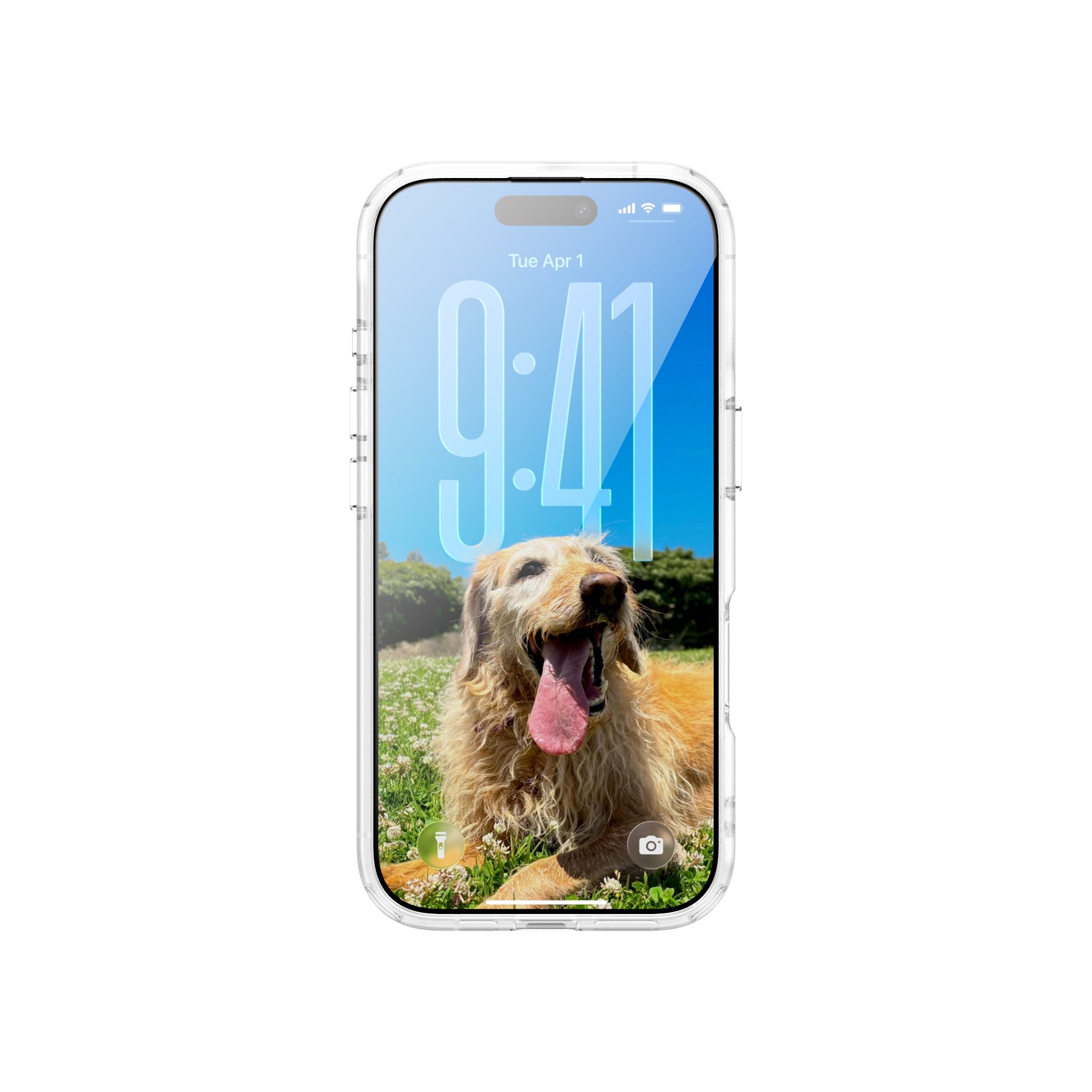 Back Cover Trend MagSafe Clear iPhone 17